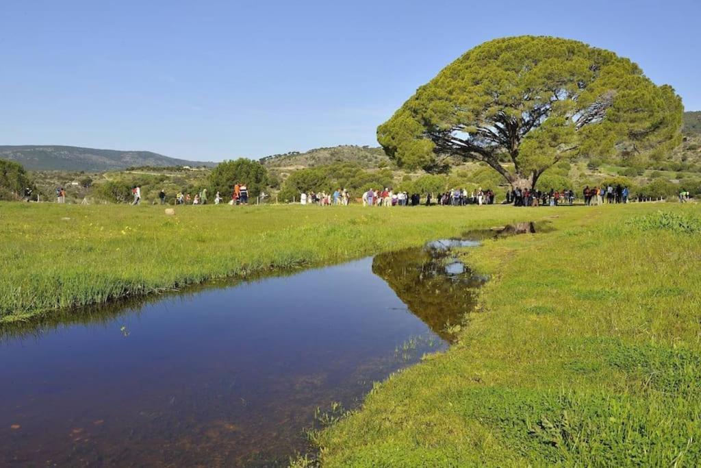 Casa Rural, “El Andador” El Hoyo de Pinares Eksteriør billede