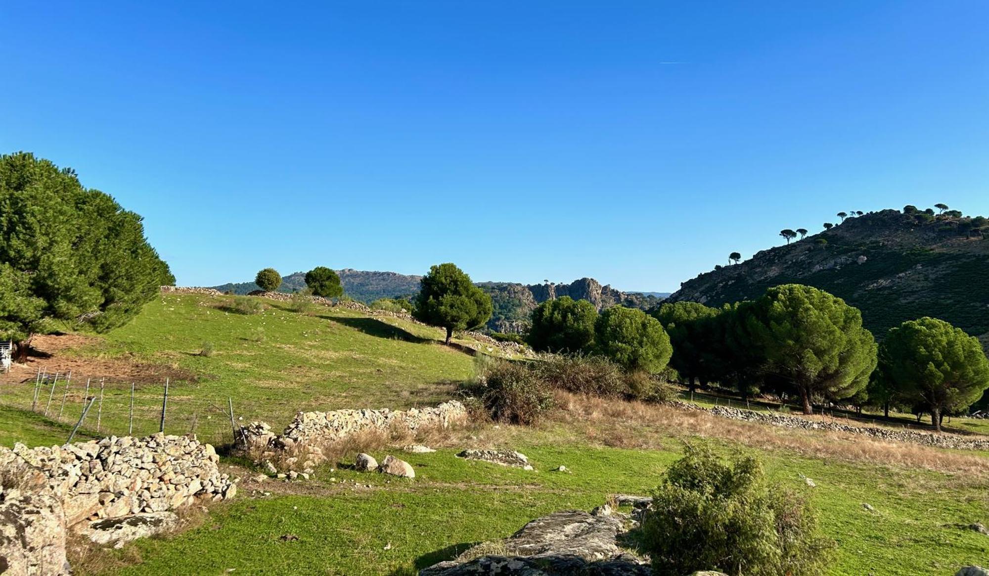 Casa Rural, “El Andador” El Hoyo de Pinares Eksteriør billede